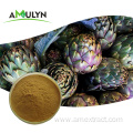 Cynarin Powder artichoke leaf extract powder